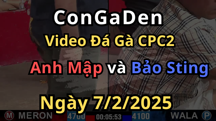 Gà Bảo Sting Chấp 6 Chấm Và Cái Kết CPC2 7/2/2025