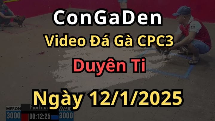 Các Trận Của Idol Duyên Ti Ở Đại Hội C3 12/1/2025