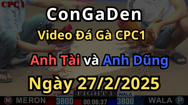 Đúng Danh Anh Tài Mở Bát Là Lụm Tiền CPC1 27/2/2025