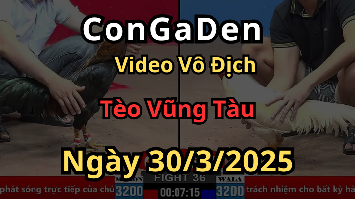 Hành trình lụm cúp CPC2 của anh Tèo VT ngày 30/3/2025