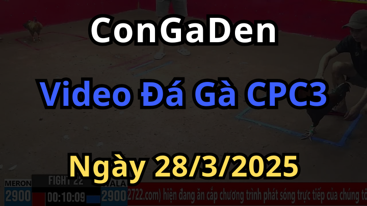 Video phát lại đá gà cpc3 ngày 28/3/2025 có bình luận mượt nhất