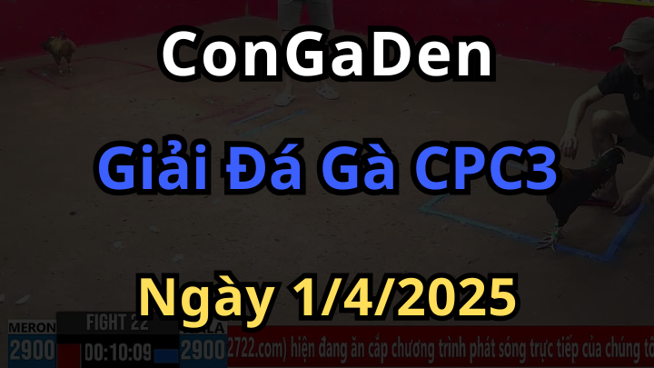 Đại Hội Siêu Cúp Vô Địch CPC3 Ngày 1/4/2025 Cực Hay