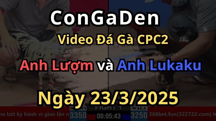 Chấp nhẹ 1 chấm mở bát bung bồ CPC2 23/3/2025