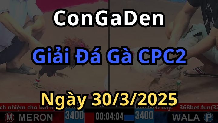Bồ C2 trở lại với Đại Hội Đá Gà CPC2 Ngày 30/3/2025 cực khủng