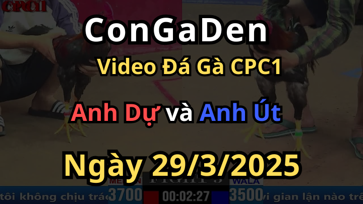 Xanh chấp láo và cái kết CPC1 29/3/2025