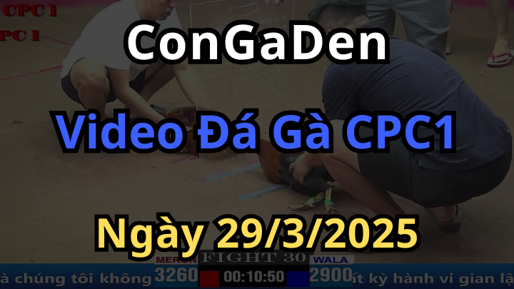 Phát Lại đá gà cpc1 ngày 29/3/2025 trực tiếp thomo