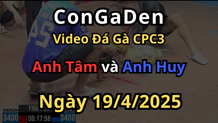 Gà Bình Dương chồng độ đá như phim CPC3 19/4/2025