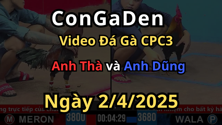 Anh Dũng chấp 2 chấm đá đối thủ về quê luôn cpc3 2/4/2025
