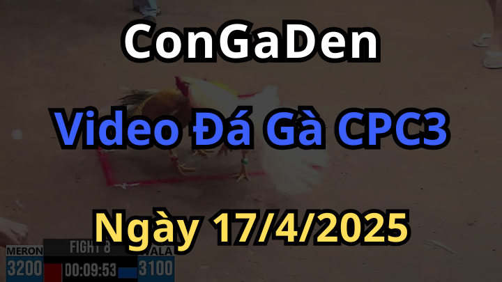 Phát trực tiếp Đá Gà CPC3 Ngày 17/4/2025 hôm nay