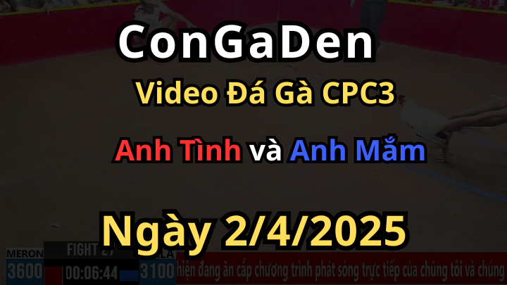 Anh Mắm chơi lớn chấp 5 chấm đổi 1 cựa CPC3 2/4/2025
