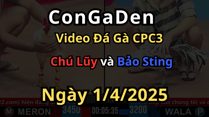 Bảo Sting phải gọi chú Lũy bằng điện thoại CPC3 1/4/2025