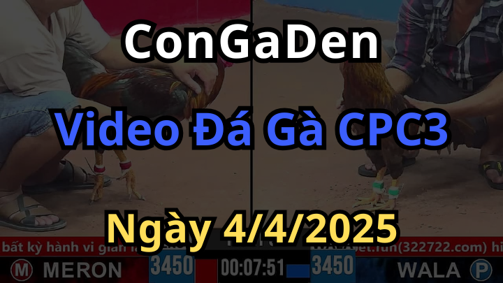 Clip đá gà cpc3 ngày 4/4/2025 phát lại full hd - Congaden