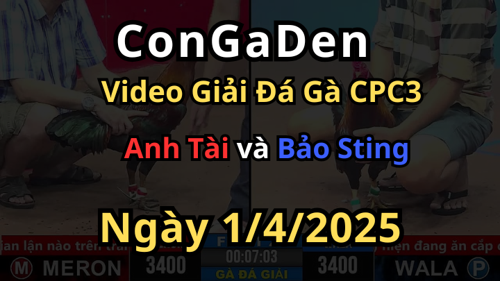 Bảo Sting khai mạc giải cpc3 cực đẳng cấp ngày 1/4/2025