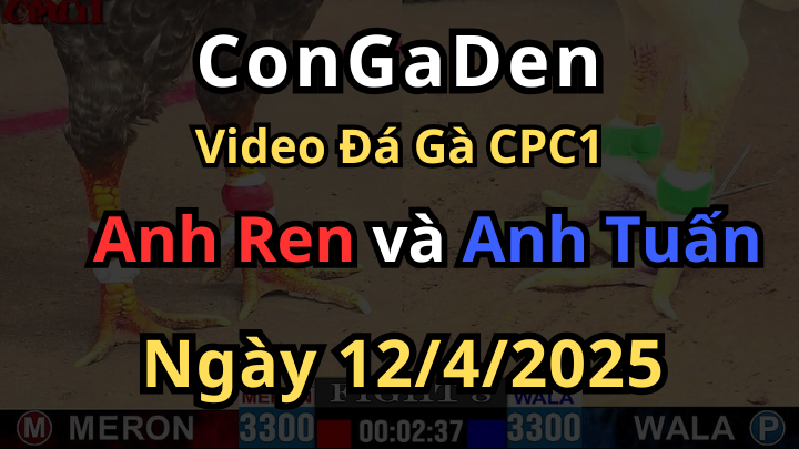 Úa làm liên hoàn cước cú không chịu nổi CPC1 12/4/2025
