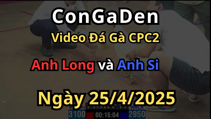 Con Gà lạ đá người ta té xong mình xỉu CPC2 25/4/2025