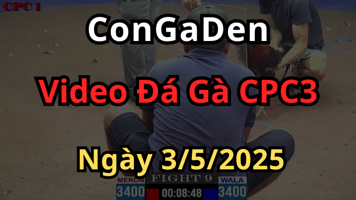 Phát lại Đá Gà CPC3 Campuchia ngày 3/5/2025 trực tuyến