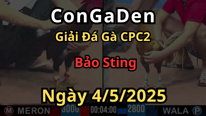 Bảo Sting Vô Địch Giải CPC2 Ngày 4/5/2025 Quá Đẳng Cấp