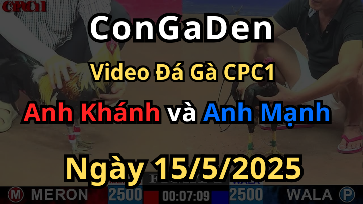 Chuối nhập đá siêu mỹ te tua CPC1 15/5/2025