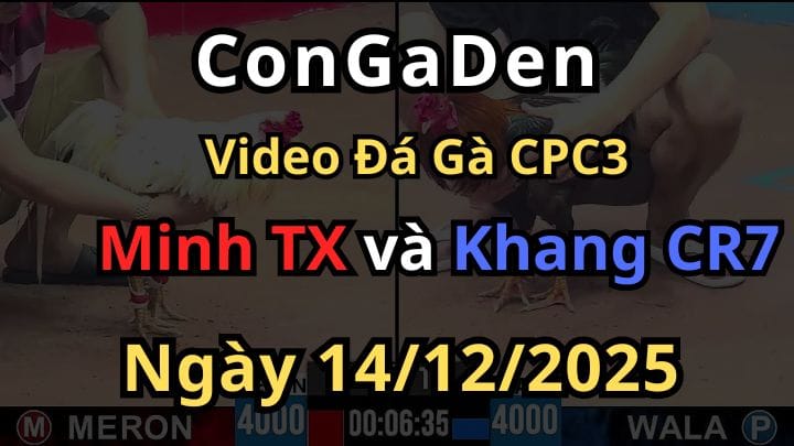 Trận 9 CPC3 14/12/2025 Anh Khang CR7 Chấp 2 Chấm Và Cái Kết